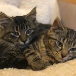 Jeff and Hazel - @jeffandhazel - Instagram