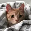 Jeff Heard569 - @._.dontaskme - TikTok