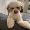jeffwhatuheard - @jeffwhatuheard - TikTok