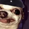 jeffhebb7 - @jbone644 - TikTok