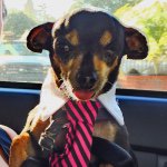 @jeffhebb - Instagram