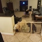 Jeff Heffner - @jeff.heffner.90 - Instagram