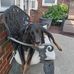 Jeff Heffner - Facebook
