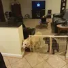 jeffheffner968 - @jeffheffner968 - TikTok