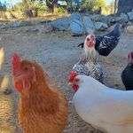 Hefling Jeff - @heflingjeff - Instagram