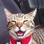 Jeff Hefner - @jeff_hefner - Instagram