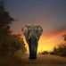 Jeff Hein - Facebook