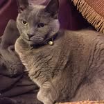 Jeff Heinbach - @heinbachjeff - Instagram