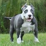 Jeff Herrmann - @herrmannj13 - Instagram