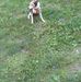 Jeff Herrmann - Facebook
