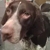 Jeff Hintz - @jeff.hintz - TikTok