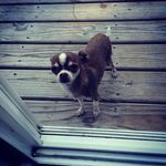 Jeff Hites - @jhites23 - Instagram