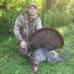 Jeffrey Hodgins - @jeffrey.hodgins - Instagram