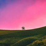 Jh - @jeffhodgins2019 - Instagram