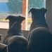 Jeff Holifield - Facebook