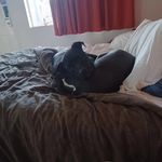 Jeff Holifield - @jeffholifield1966 - Instagram
