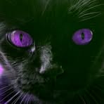 Jeffrey Holly - Facebook