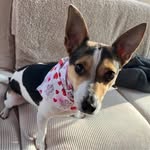 Jeff Houk - @houk1197 - Instagram