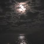 Jeff Hovis - @jeff.hovis.beach - Instagram