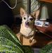 Jeff Hovis - Facebook