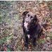 Jeff Hovis - Facebook