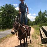 Jeff Hoyle - @jeff.hoyle.2 - Instagram