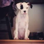 Jeff Humphreys - @jeff.humphreys.752 - Instagram