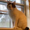Jeff Hunter2735 - @jeffhunter2735 - TikTok