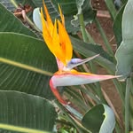 jeff hunter - @jeffhunter4402 - Instagram