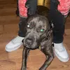 jeffrey_hupp69 - @jeffrey_hupp69 - TikTok