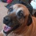 Jeffrey Hupp - Facebook
