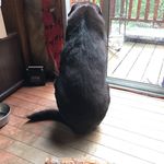 Jeff Inglis - @4thplacebeaver - Instagram
