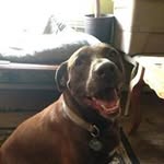 Jeff Ireland - @jeff.ireland.37 - Instagram