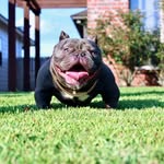 Jeff Johnson - @aikjeff_ - Instagram