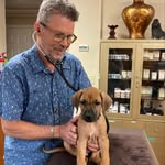 Jeffrey Judkins - @drjjudkins - Instagram