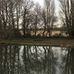 Jeff n June Canalboats - Facebook