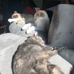 JeffJuneBiscuit - @jeff_june_biscuit - Instagram