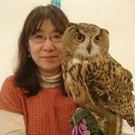 Junko  Kato - @jeff_junko - Instagram