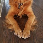 Jeff Keeney - @4jeffkeeney - Instagram