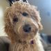 Jeff Kellough - Facebook