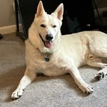 Jeff Kessler - @jeffkessler18 - Instagram