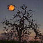 Jeffery Kidder - @jefferykidder - Instagram