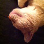 Jeffrey Kidder - @jeffreykidder - Instagram