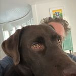 Jeff Kingsley - @jeffrey_j_k - Instagram