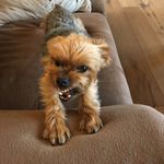 Jeff Kirkpatrick - @jeff.kirkpatrick - Instagram