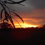 Jeff Kitto - @jkitto_01 - Instagram