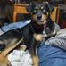 Jeff Kitts - Facebook