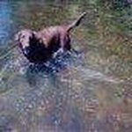 Jeff Knowlton - @jeff.knowlton.585 - Instagram