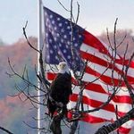 Jeff Knowlton - @judge3628 - Instagram