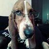 Jeff Koenig - @2184954174 - TikTok